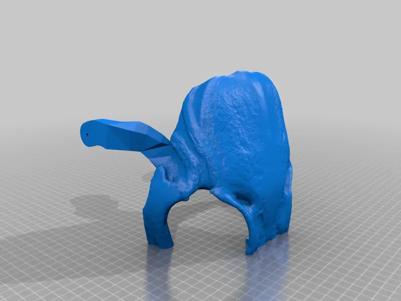 Mặt nạ sọ thỏ phong cách RISD Nature Lab - Image 14