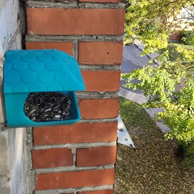 Máy cho chim ăn đơn giản gắn tường hoặc trên thanh