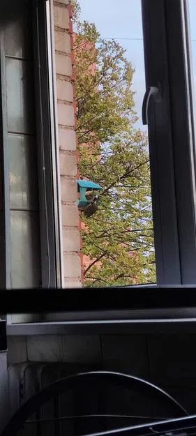 Máy cho chim ăn đơn giản gắn tường hoặc trên thanh - Image 4