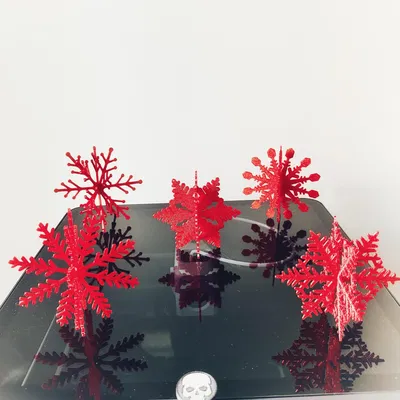 Bộ 5 bông tuyết 3D kết hợp độc đáo cho mùa đông