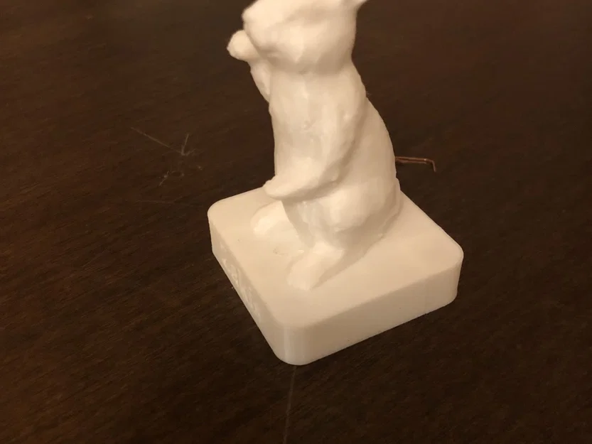 Trofee thỏ được quét bằng điện thoại - Image 2