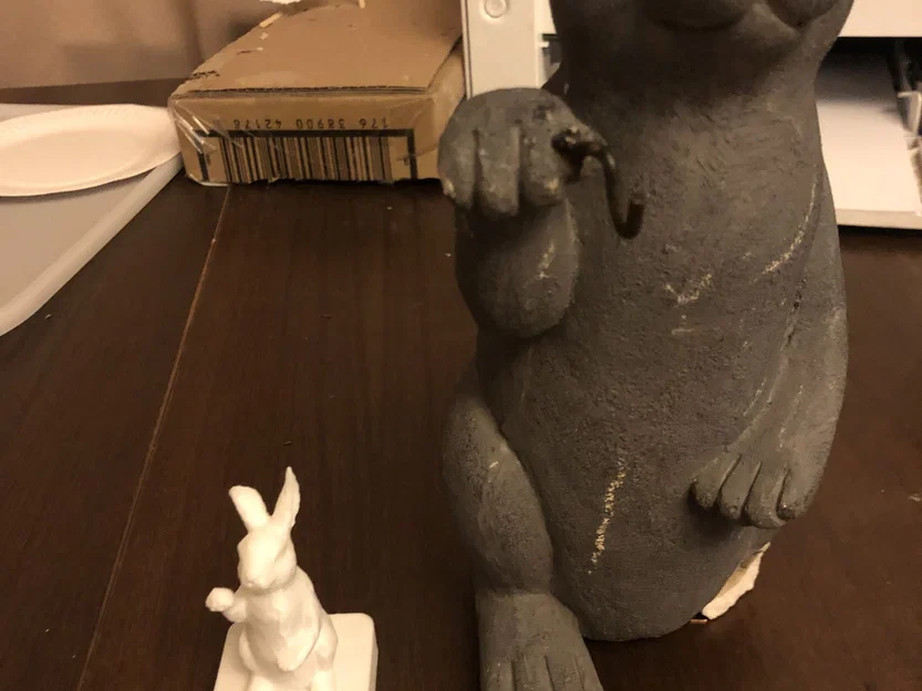 Trofee thỏ được quét bằng điện thoại - Image 3