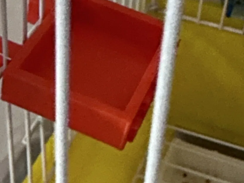 Máy cho ăn và uống nước cho chim cảnh - Image 1