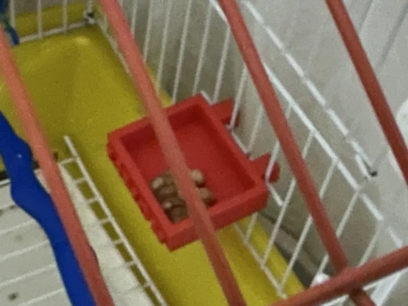 Máy cho ăn và uống nước cho chim cảnh - Image 2