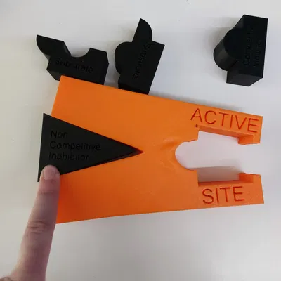 Mô hình minh họa sự ức chế hành động của enzyme