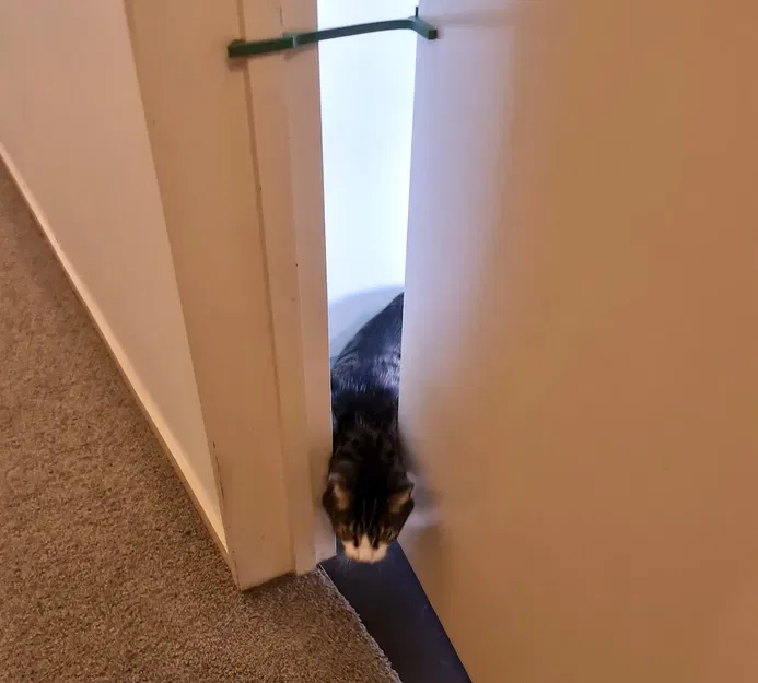 Cái chặn cửa giữ cửa mở một khe cho mèo di chuyển - Image 2