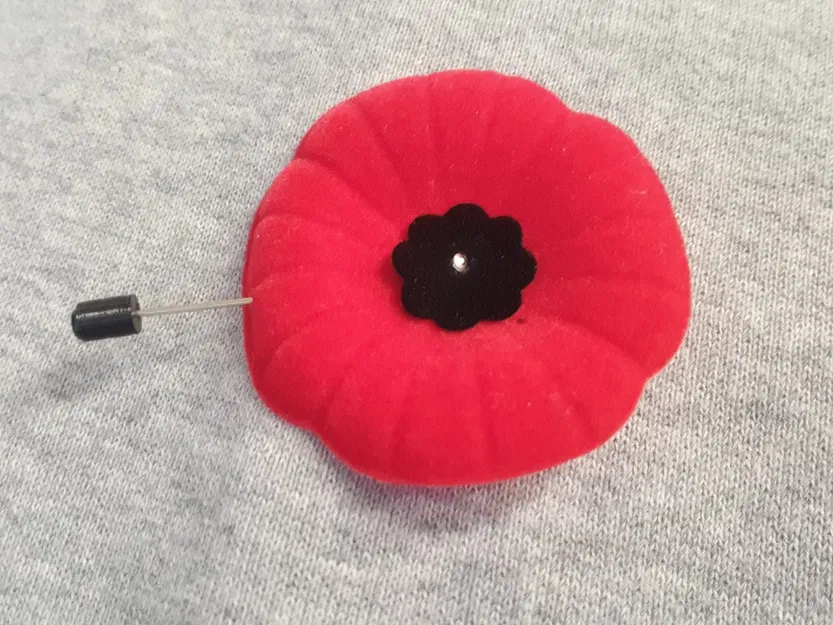 Bảo vệ ghim hoa anh túc cho Ngày Tưởng niệm - Image 1