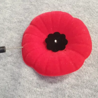 Bảo vệ ghim hoa anh túc cho Ngày Tưởng niệm