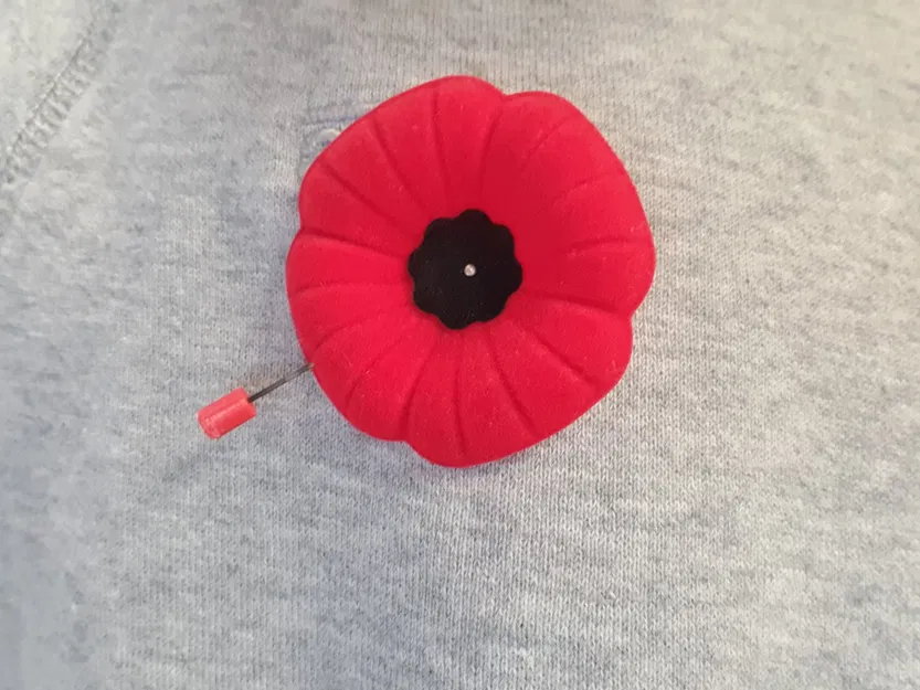 Bảo vệ ghim hoa anh túc cho Ngày Tưởng niệm - Image 2