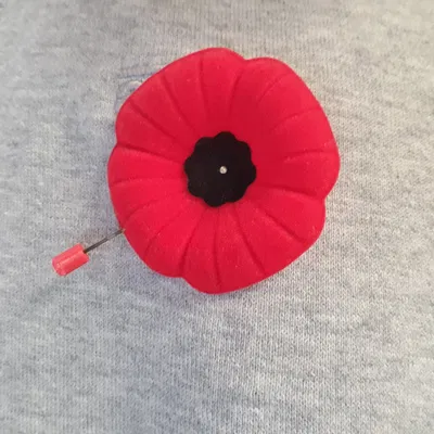 Bảo vệ ghim hoa anh túc cho Ngày Tưởng niệm