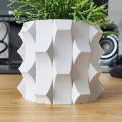 Chậu cây và bình hoa chuyển đổi cho cây trong nhà