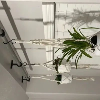 Giá đỡ thanh treo cho cây cảnh trên cửa sổ 1 5/16" dia