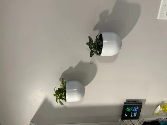 Chậu treo tường đa năng với thiết kế hai mảnh - Image 1