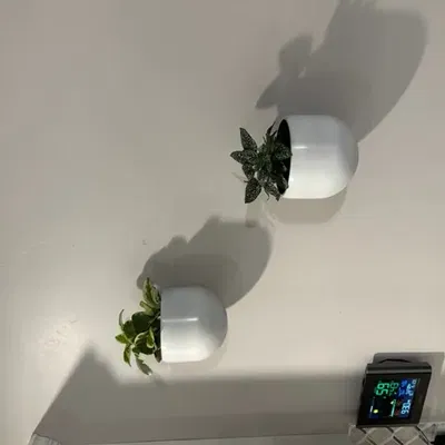 Chậu treo tường đa năng với thiết kế hai mảnh