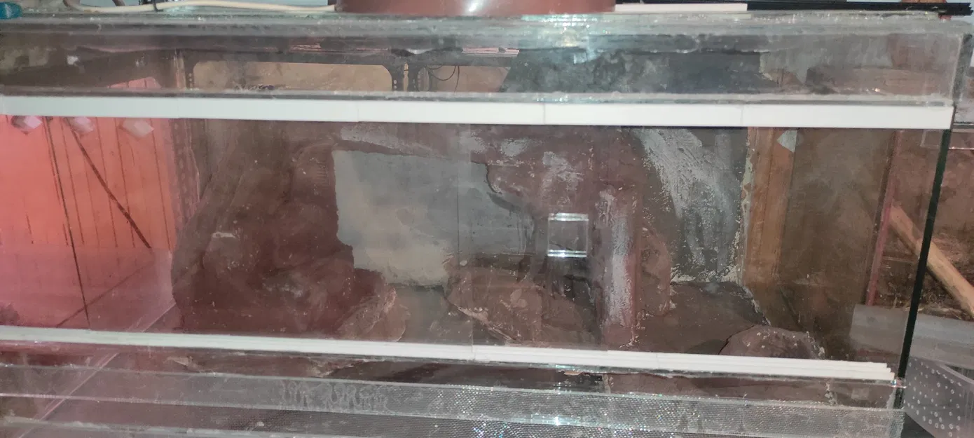 Rãnh kính cho vivarium tùy chỉnh và linh hoạt - Image 2