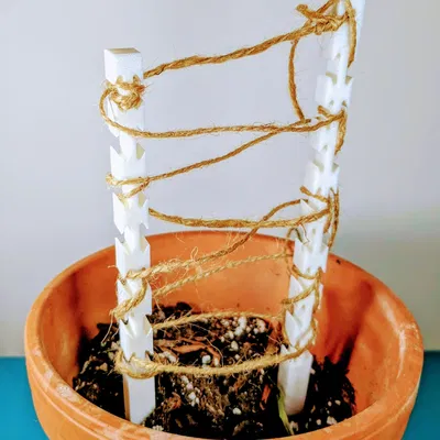 Cọc làm vườn để tạo giàn cho cây leo