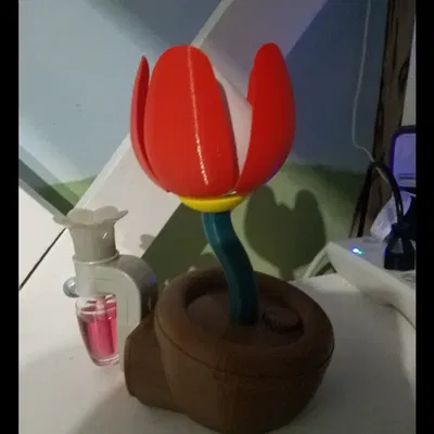 Đèn ngủ hoa nở 3D điều khiển Arduino