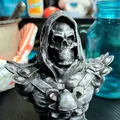 Tượng đầu Skeletor độ phân giải cao hỗ trợ in 3D - Thumbnail 6