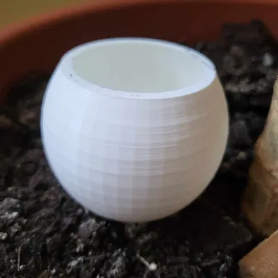 Bình tưới hoa chống thấm nước