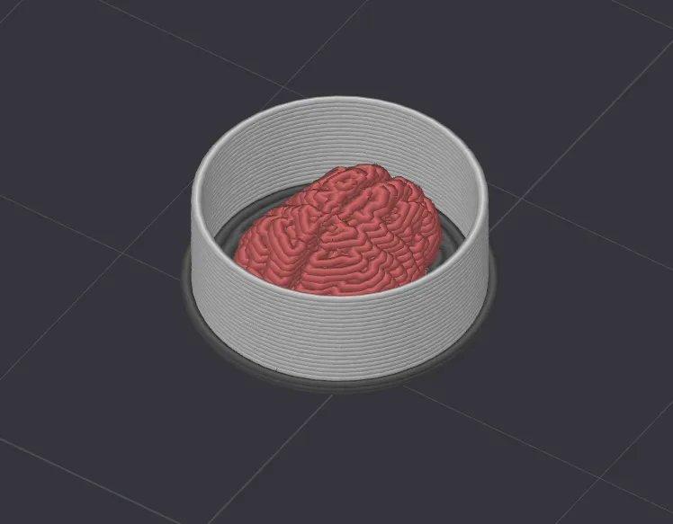 Mô hình mũ Trap Hat cho nhân vật Vault Hunter - Image 2