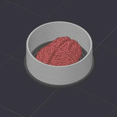 Mô hình mũ Trap Hat cho nhân vật Vault Hunter