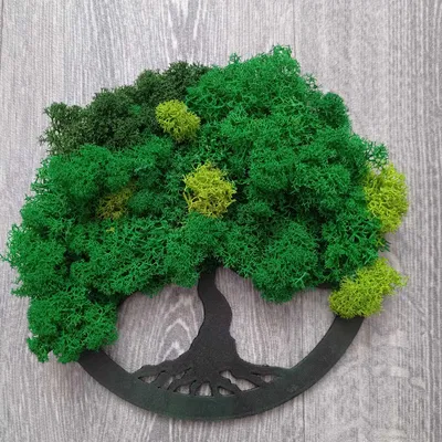 Cây sự sống trang trí bằng rêu