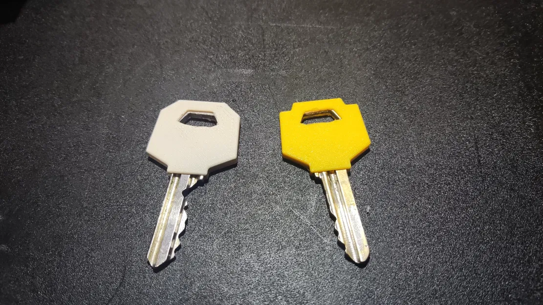 Vỏ bọc cho chìa khóa in 3D với thiết kế mở và hoàn chỉnh - Image 1