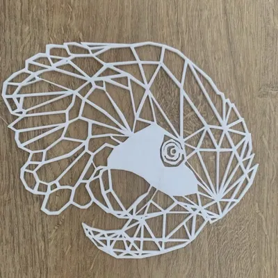 Đầu chim vẹt hình học 3D độc đáo