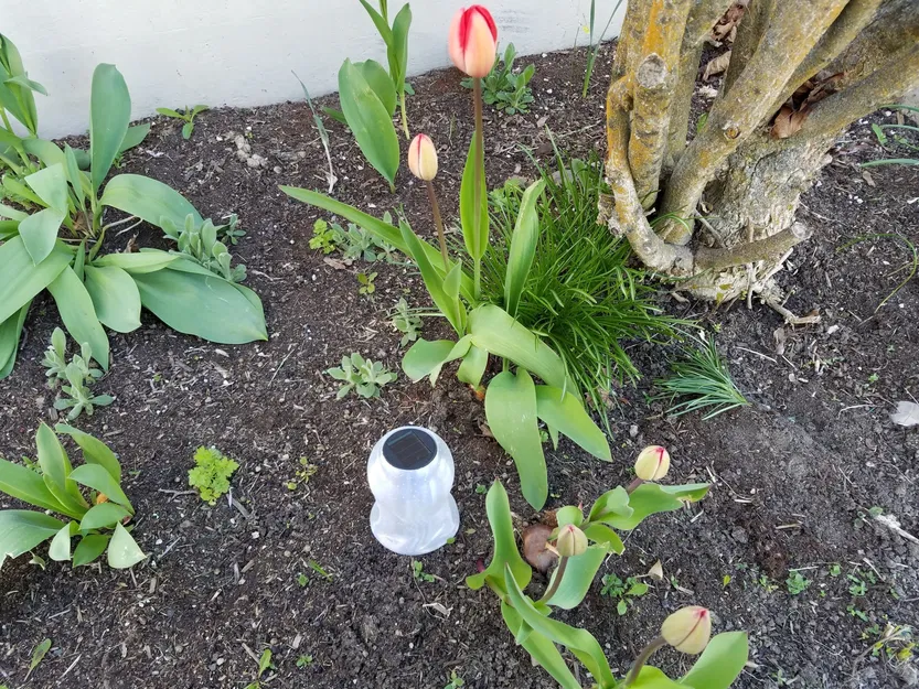 Vỏ đèn năng lượng mặt trời cho khu vườn - Image 6