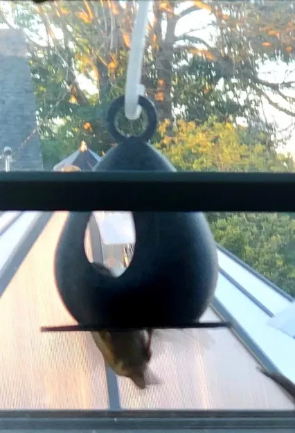 Máng ăn cho chim in dễ dàng và bền đẹp - Image 1