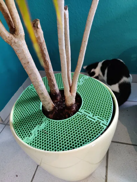 Thiết bị chống đào bới cho mèo bảo vệ cây trồng - Image 2