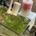 Bộ lọc đơn giản cho bể cá kết nối với bơm nhỏ - Thumbnail 4
