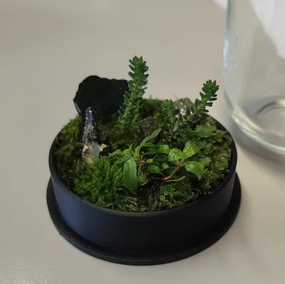 Terrarium nhỏ từ kính dome IKEA và hũ Nutella
