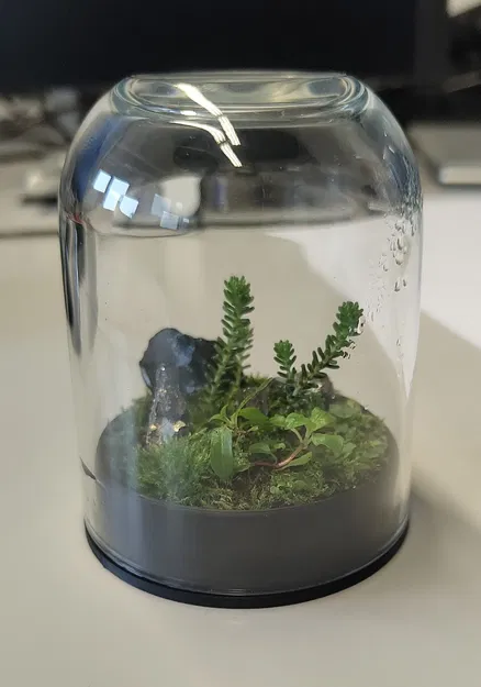 Terrarium nhỏ từ kính dome IKEA và hũ Nutella - Image 3