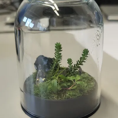 Terrarium nhỏ từ kính dome IKEA và hũ Nutella