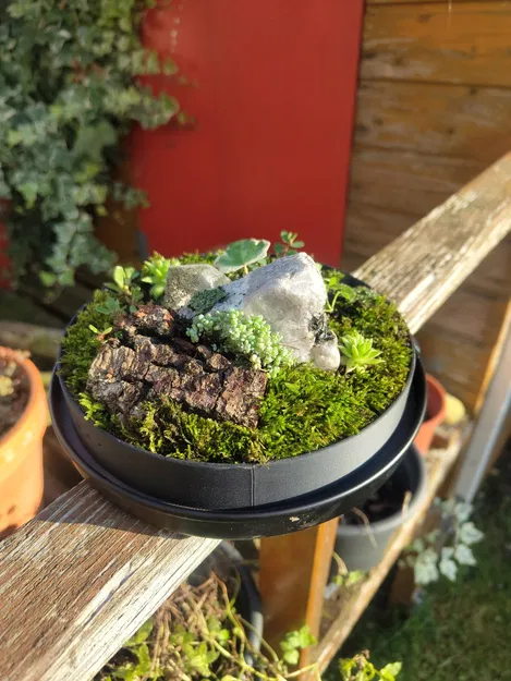 Terrarium nhỏ từ kính dome IKEA và hũ Nutella - Image 5