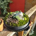 Terrarium nhỏ từ kính dome IKEA và hũ Nutella - Thumbnail 5