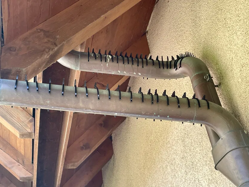 Gai chống chim bồ câu cho ống thoát nước - Image 1