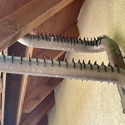 Gai chống chim bồ câu cho ống thoát nước