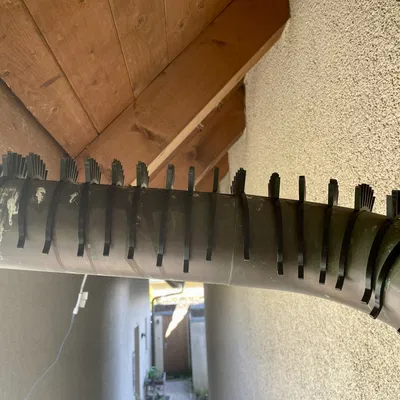 Gai chống chim bồ câu cho ống thoát nước