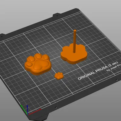 Dấu chân mèo trong vườn thiền của bạn