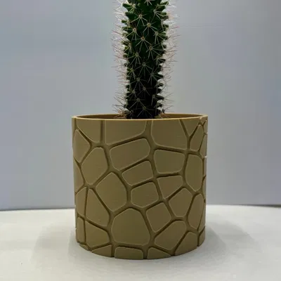 Chậu cây Voronoi cho xương rồng và cây mọng nước