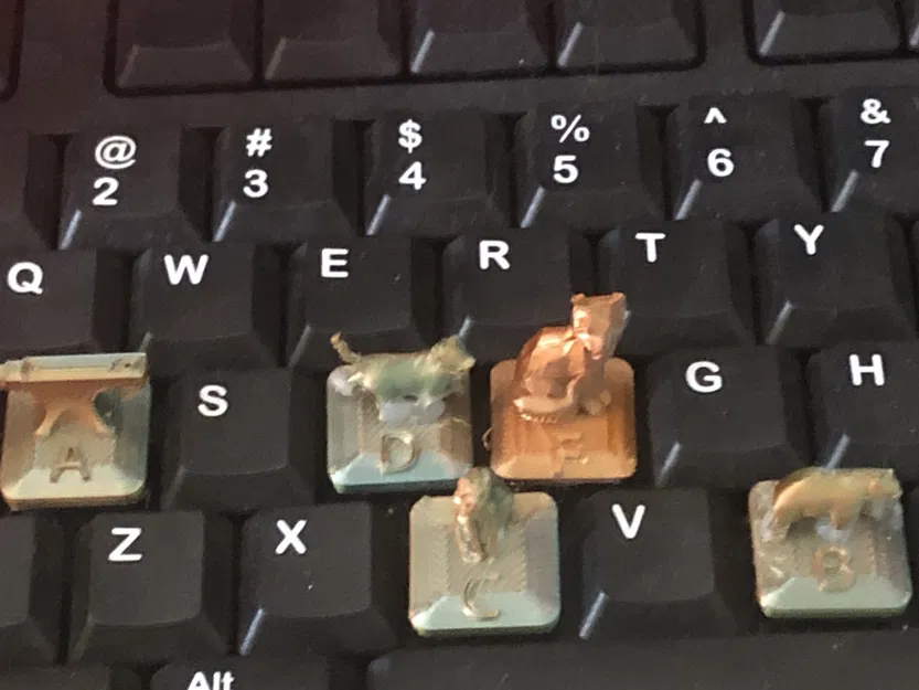 Phím bàn phím hình cáo dành cho bàn phím Logitech - Image 2