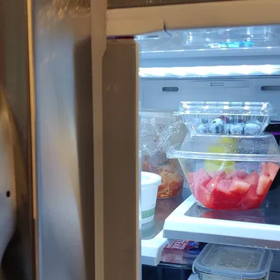 Chốt hướng dẫn cửa tủ lạnh GE bị hỏng