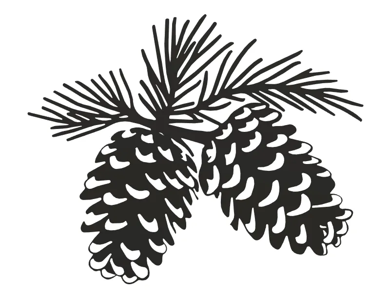 Gai thông với khung trang trí nghệ thuật - Image 3