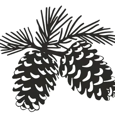 Gai thông với khung trang trí nghệ thuật