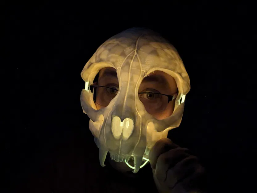 Mặt nạ đầu lâu mèo phiên bản dây EL - Image 1