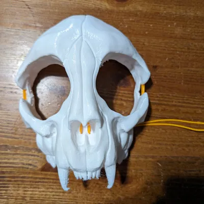 Mặt nạ đầu lâu mèo phiên bản dây EL