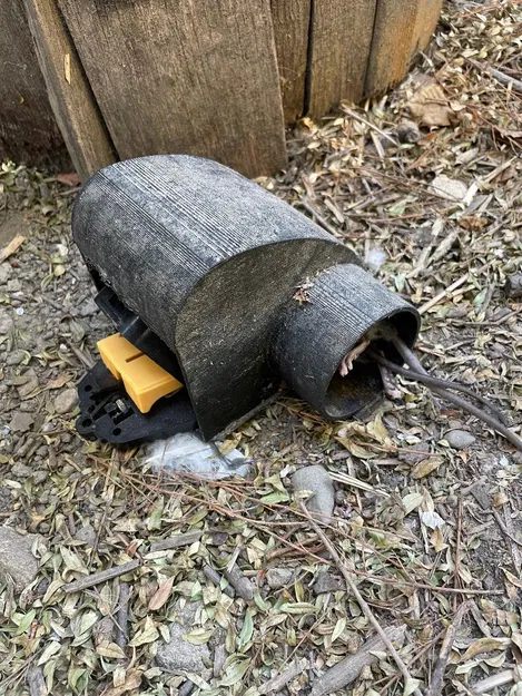 Đường hầm bẫy chuột ngăn chặn động vật khác bị mắc kẹt - Image 1