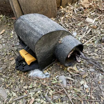 Đường hầm bẫy chuột ngăn chặn động vật khác bị mắc kẹt